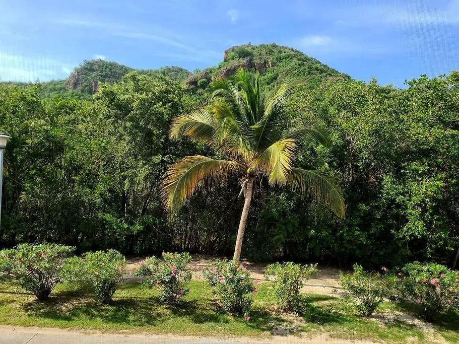 True North Villa - Waterfront On Jolly Harbour Bolands